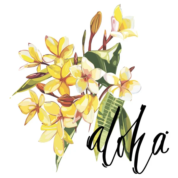 Illustration avec aquarelle réaliste Plumeria fleurs. Beau bouquet de plantes tropicales et mot-Aloha. SPE 10 — Image vectorielle