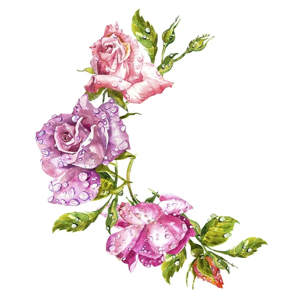 水彩画のグリーティング カード。バラの背景、水彩構成。花の背景。白い背景の上の隔離された図. — ストック写真