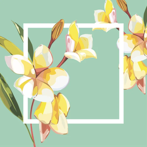 Blommig ram med Plumeria blommor på ljus bakgrund. Gratulationskort eller mall för bröllop dagdesign. EPS-10 — Stock vektor