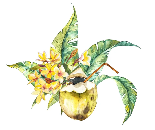 Aquarelle illustration isolée d'une plumeria et feuilles, noix de coco, composition des fleurs tropicales — Photo