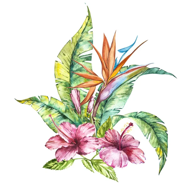 Illustration aquarelle isolée d'un hibiscus rose et de feuilles, Strelitzia reginae, composition florale tropicale — Photo