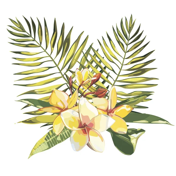 Tropische bloemen plumeria wippen blad geïsoleerd op witte achtergrond. EPS-10 — Stockvector