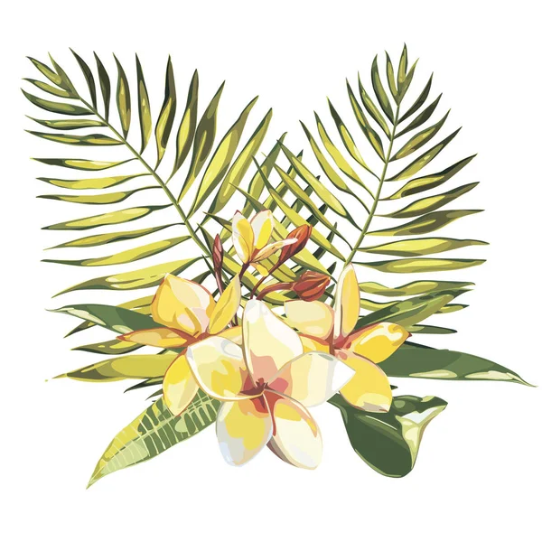 Flores tropicais plumeria whis folha isolada sobre fundo branco. EPS 10 —  Vetores de Stock