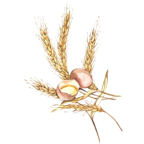 Яйцо и пшеница вместе иллюстрируют нарисованную вручную акварель. Изолированный на белом фоне — стоковое фото
