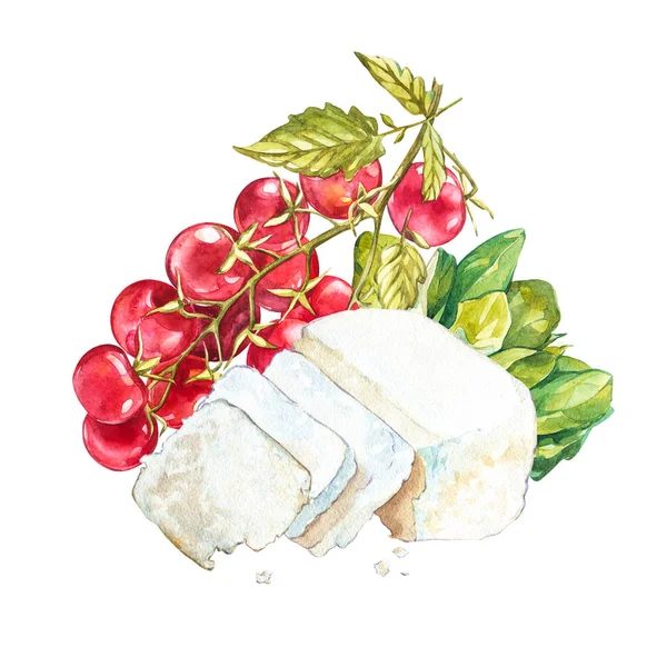 Tomates cherry en la vid con queso Ricotta. Acuarela ilustración dibujada a mano. Aislado sobre fondo blanco — Foto de Stock