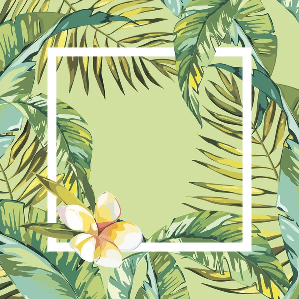 Banner, póster con hojas de palma, hoja de la selva. Hermoso vector floral fondo de verano tropical. EPS 10 — Archivo Imágenes Vectoriales