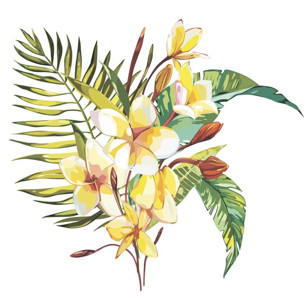 Tropische Blumen plumeria whis Blatt isoliert auf weißem Hintergrund. Folge 10 — Stockvektor