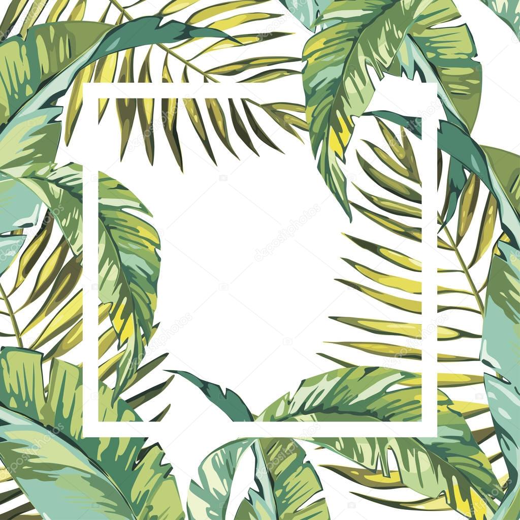 Banner, poster with palm leaves, jungle leaf. Beautiful vector floral tropical summer background. EPS 10