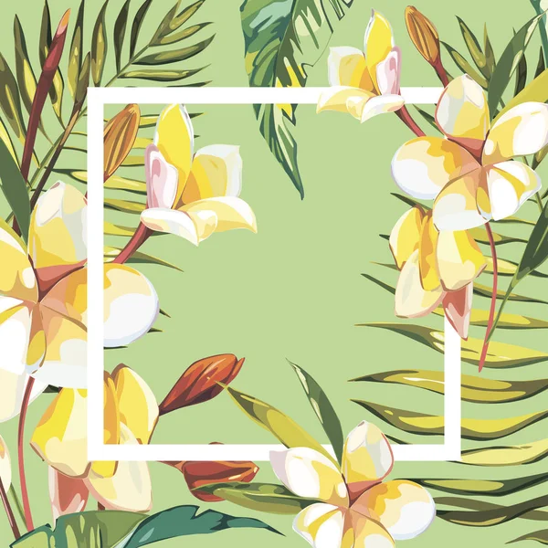 Banner, cartaz com folhas de palma, folhas da selva e flores de plumeria. Belo vetor floral fundo de verão tropical. EPS 10 — Vetor de Stock