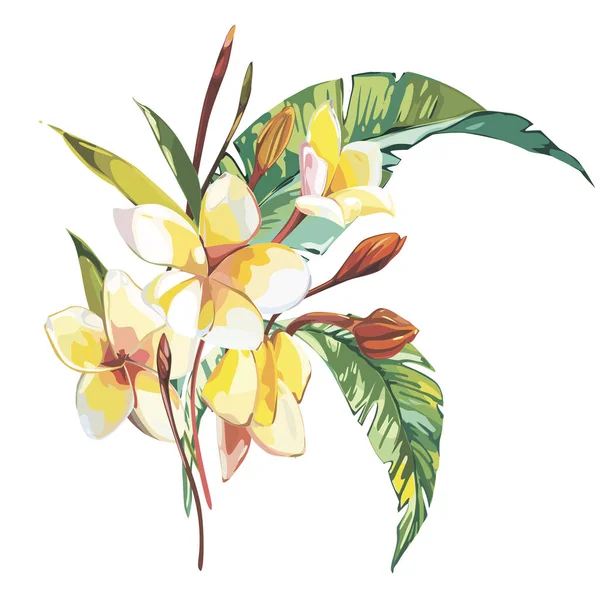 Flores tropicales plumeria whis hoja aislada sobre fondo blanco. EPS 10 — Archivo Imágenes Vectoriales
