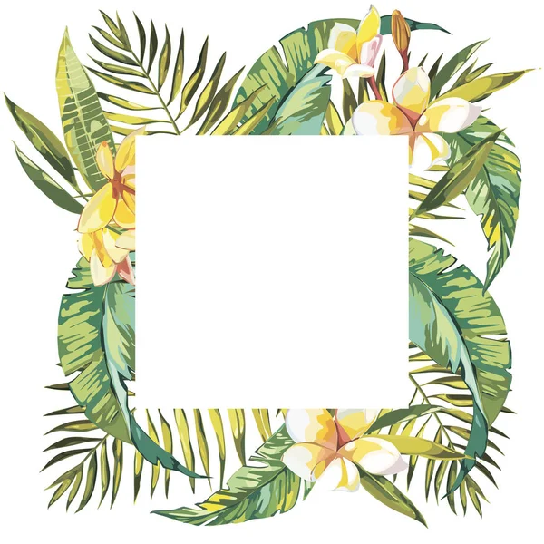 Sfondo tropicale estivo con foglie di palma e piante esotiche, poster estivo. Fiori di plumeria. EPS 10 — Vettoriale Stock