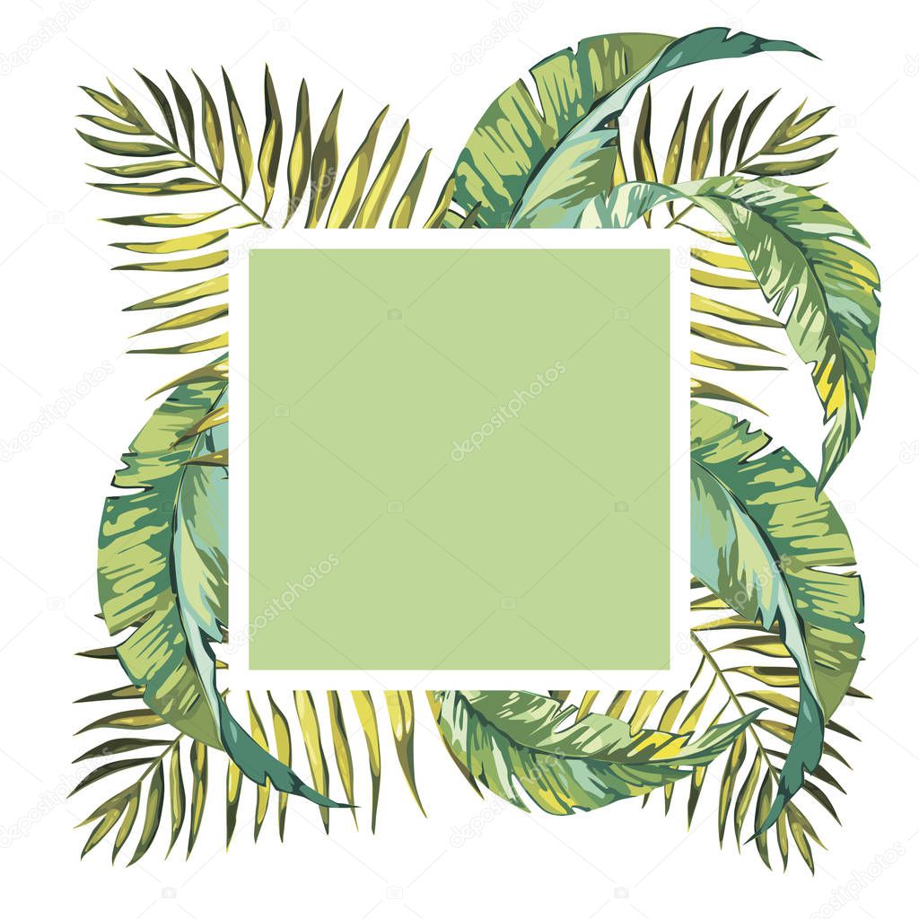 Summer tropical background with palm tree leaves and exotic plants, summer poster. Plumeria flowers. EPS 10