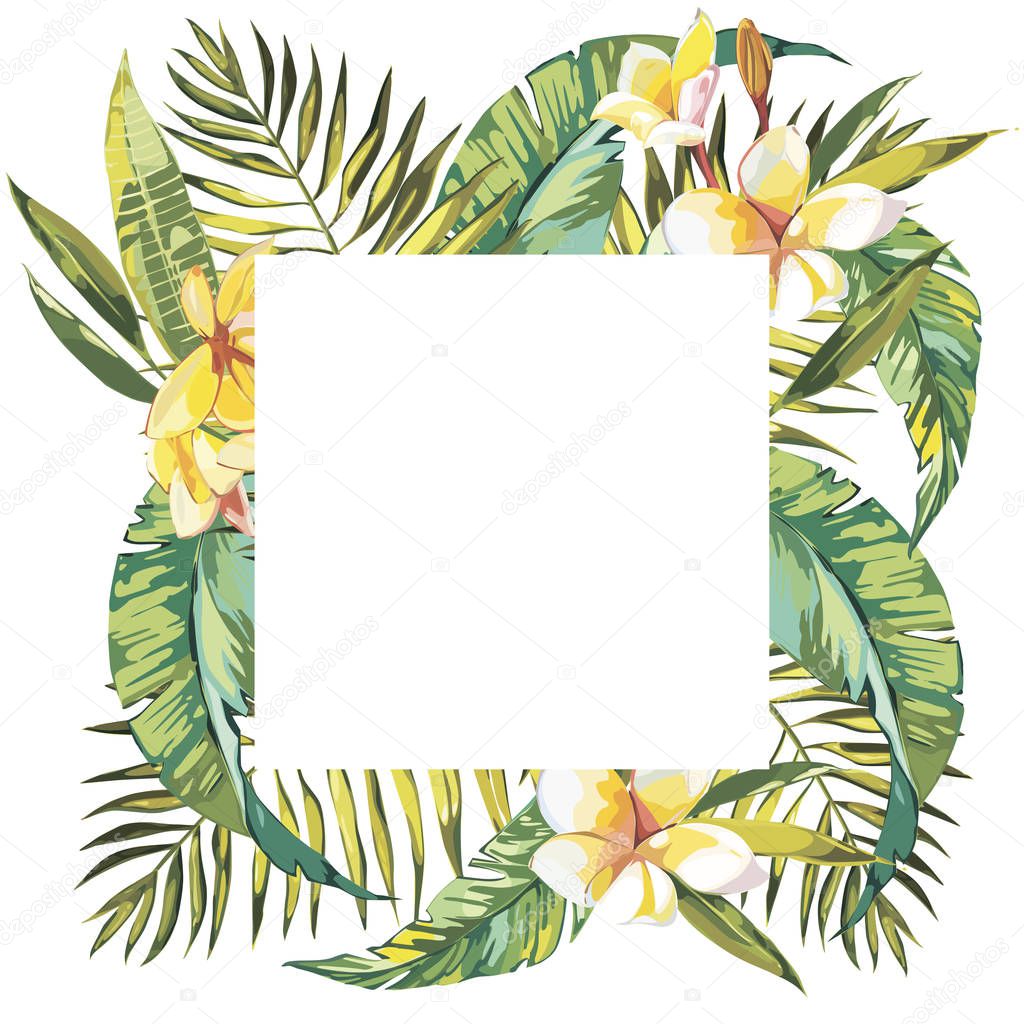 Summer tropical background with palm tree leaves and exotic plants, summer poster. Plumeria flowers. EPS 10