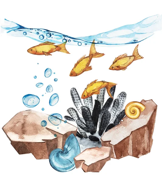 Paisaje de la vida marina - el océano y el mundo submarino con diferentes habitantes. Concepto de acuario para carteles, camisetas, etiquetas, sitios web, postales . —  Fotos de Stock