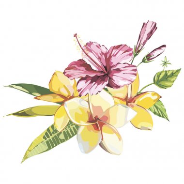 Beyaz arka plan üzerinde izole tropikal çiçek plumeria ve ebegümeci whis yaprak. EPS 10