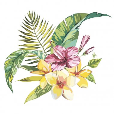 Beyaz arka plan üzerinde izole tropikal çiçek plumeria ve ebegümeci whis yaprak. EPS 10
