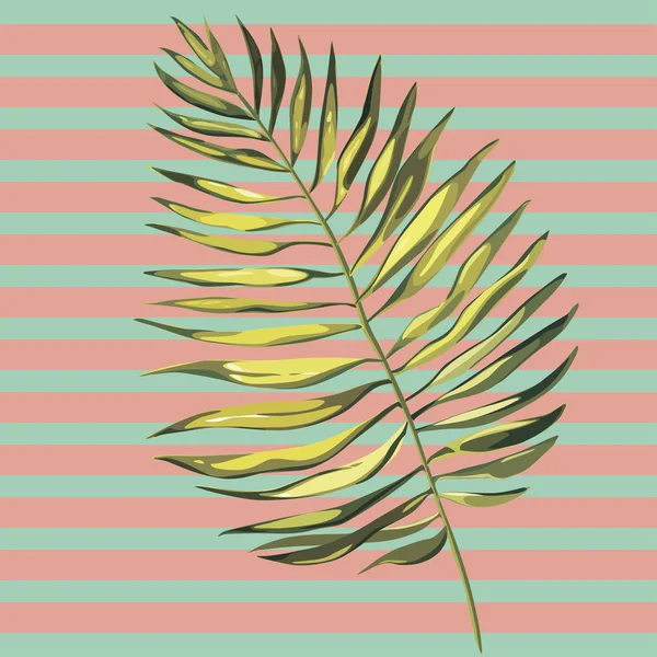 Foglie di palma tropicale vettoriale, foglie di giungla isolate su sfondo bianco. EPS 10 — Vettoriale Stock