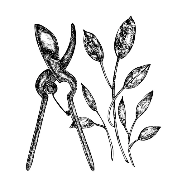 Графическая иллюстрация садовых инструментов. Изолированный на белом фоне . — стоковый вектор