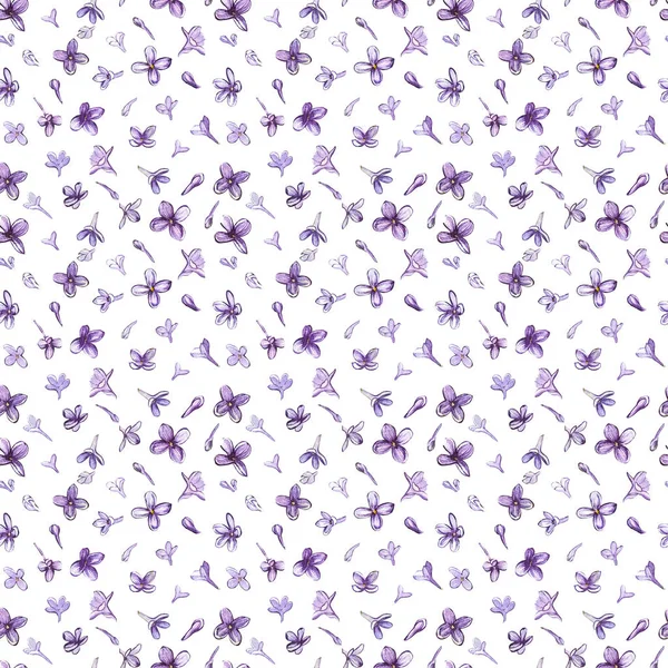 Illustration in watercolor of a Lilac flower. Floral card with flowers. Botanical illustration seamless pattern. — Stock Photo, Image