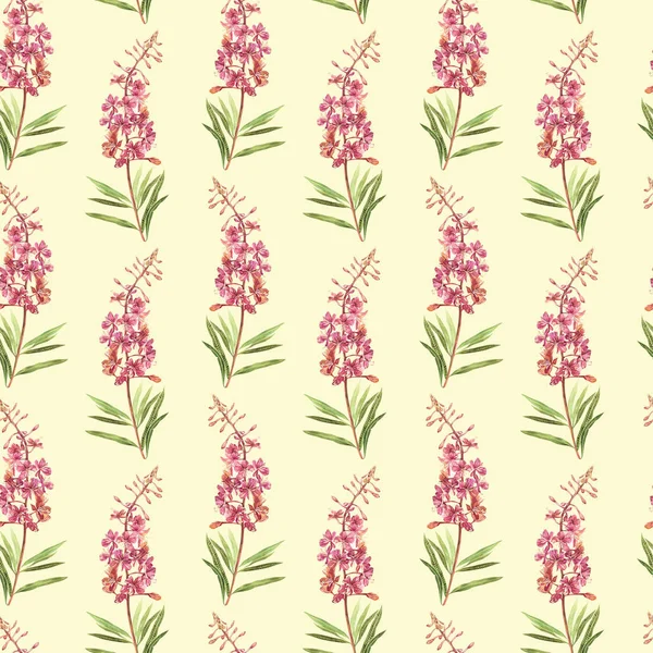 A fűzfa-nerb virág akvarell illusztráció. Virágos kártya virággal. Botanikai illusztráció zökkenőmentes minta. — Stock Fotó