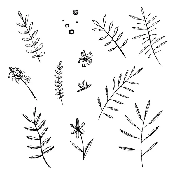 Ręcznie rysowane zestaw doodle kwiatów. Graficzne elementy kwiatowy lato. — Wektor stockowy