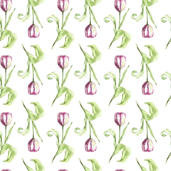 Abbildung in Aquarell einer Tulpenblume. Blumenkarte mit Blumen. botanische Abbildung nahtloses Muster. — Stockfoto