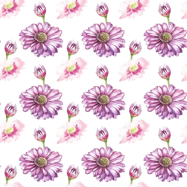 Illustration in watercolor of a Gerbera flower. Floral card with flowers. Botanical illustration seamless pattern. — Stock Photo, Image