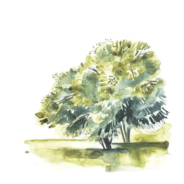 Paisaje acuarela con árbol. Fondo dibujado a mano naturaleza europea. Pintura ilustración del campo . —  Fotos de Stock