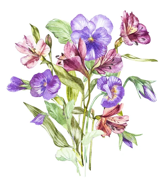 Spring flowers Pansy and Alstroemeria tree isolated on white background. Watercolor hand drawn illustration. — Stock Photo, Image