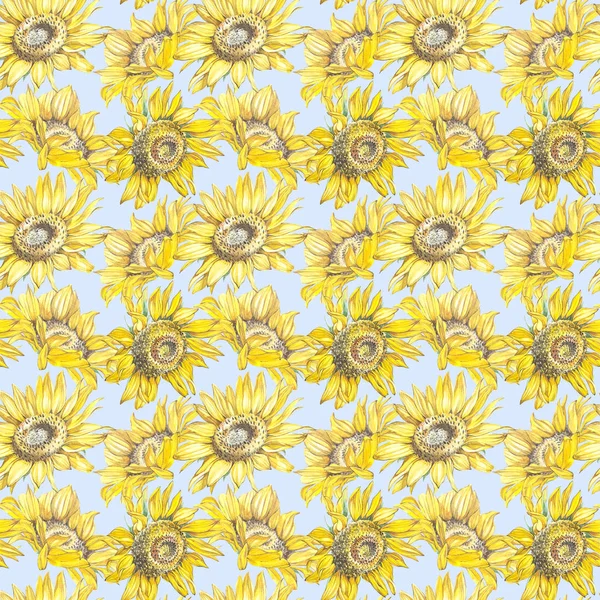 Illustration in watercolor of a Sunflowers. Floral card with flowers. Botanical illustration seamless pattern. — Stock Photo, Image