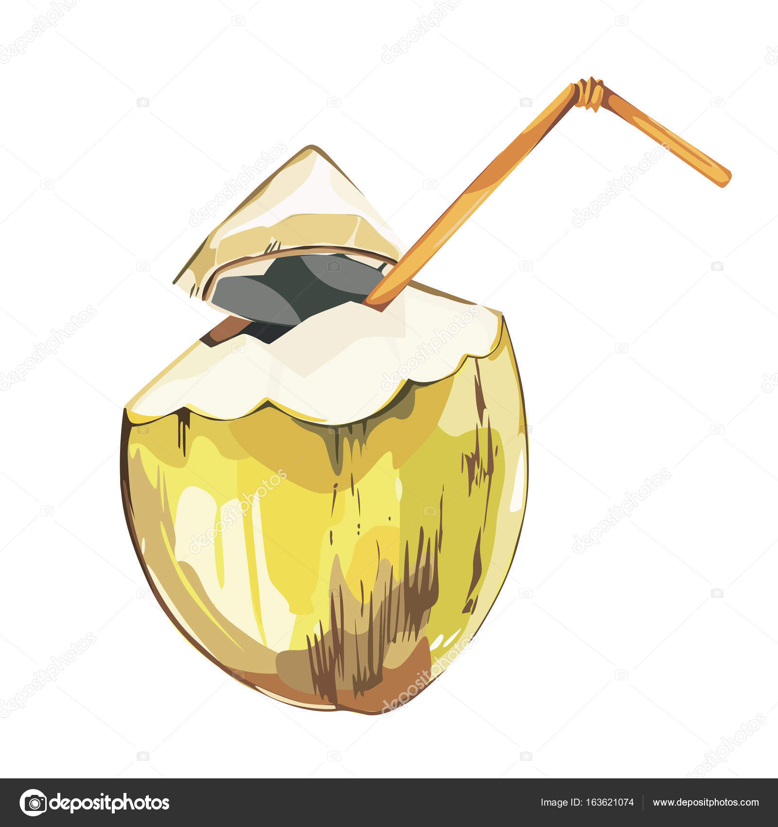 ベクトル ココナッツ手描きのスケッチ 水彩ベクトル熱帯の食べ物の