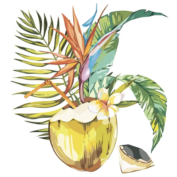 Schizzo disegnato a mano in cocco vettoriale con foglia di palma, plumeria e fiori di strelitzia. Illustrazione di cibo tropicale vettoriale ad acquerello. Isolato su sfondo bianco . — Vettoriale Stock