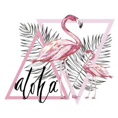 Word - Aloha. İki flamingolar tropikal yaprakları ile. Tasarım davetiye, film afişleri, kumaşlar ve diğer nesneler için öğe. Beyaz izole. Geometri ayarlayın. Vektör Eps 10