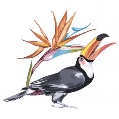Toucan tropik çiçekler STERLİÇYA ile. Tasarım davetiye, film afişleri, kumaşlar ve diğer nesneler için öğe. Beyaz izole.
