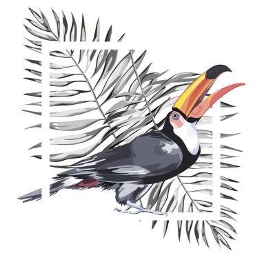 Toucan tropikal yaprak. Tasarım davetiye, film afişleri, kumaşlar ve diğer nesneler için öğe. Beyaz izole.