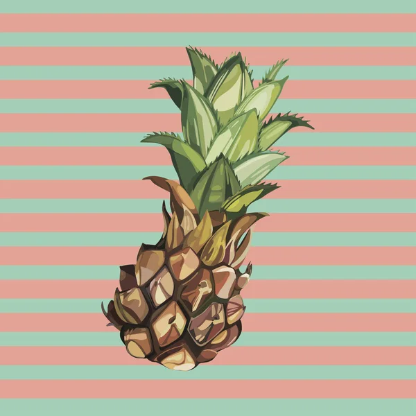 Wektor ananas ręcznie rysowane szkic. Ilustracja jedzenie tropikalny wektor akwarela. — Wektor stockowy