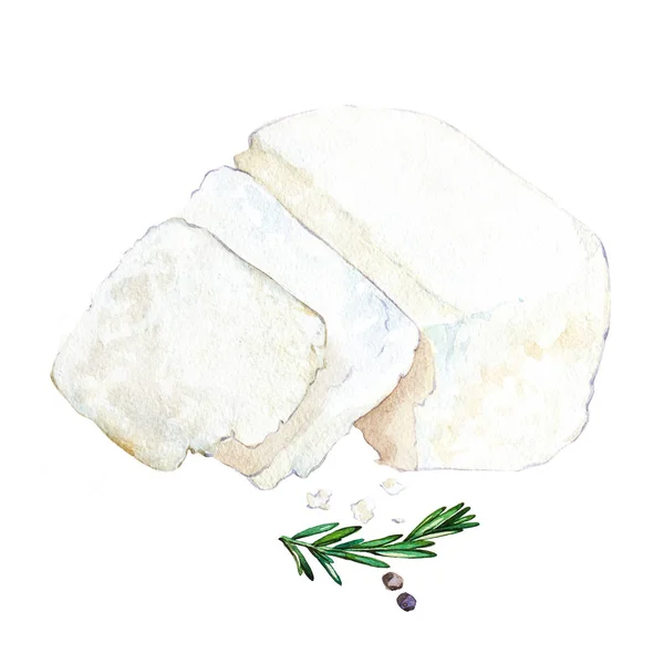 Ricotta e rosmarino. Illustrazione disegnata a mano ad acquerello. Isolato su sfondo bianco . — Foto Stock