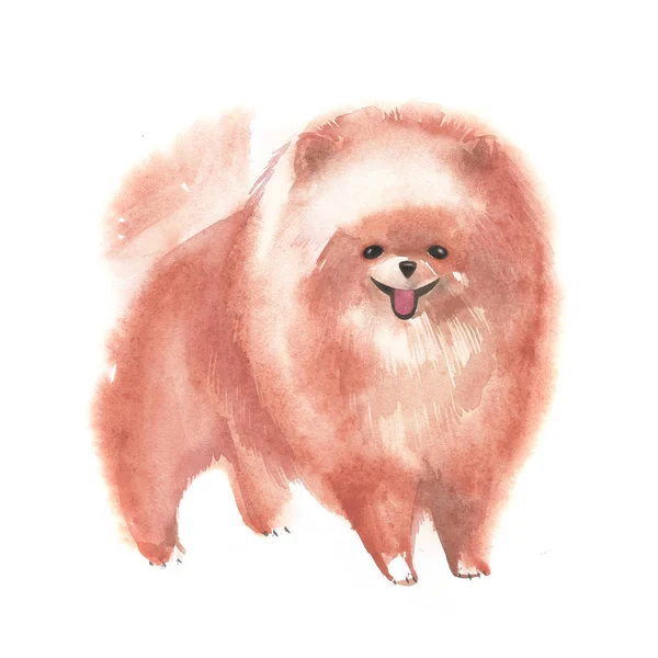 Schattige hond schets. Handgeschilderde aquarel illustratie. — Stockfoto