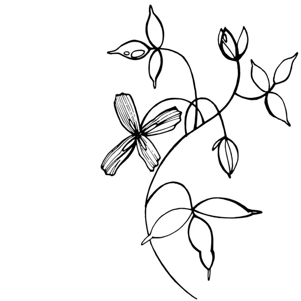 Fleurs graphiques dessinés à la main — Image vectorielle