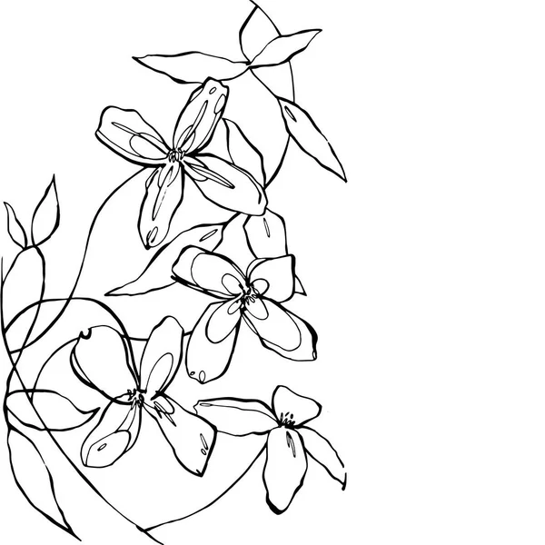 Grafik çiçekler el çekilmiş