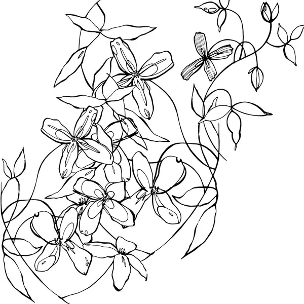 Hand getekend grafische bloemen — Stockvector