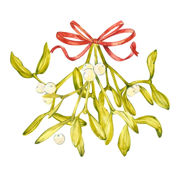 Watercolor illustration of green mistletoe. The Symbol of a Kiss. Christmas set isolated on white background. Hand Painted lement for a postcard. — Stock Photo, Image