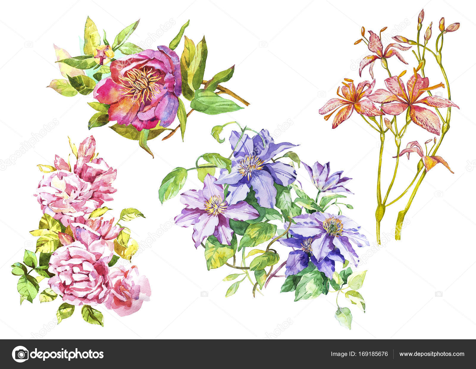 Big Set Watercolor collection with plants elements leaf, flowers. Botanical illustration