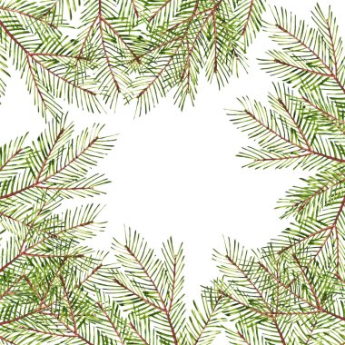 Desen. Sulu Boya Noel ağacı dalları. El köknar-iğne ile doku doğal unsurlar izole beyaz zemin üzerine boyalı. Xmas kağıt.