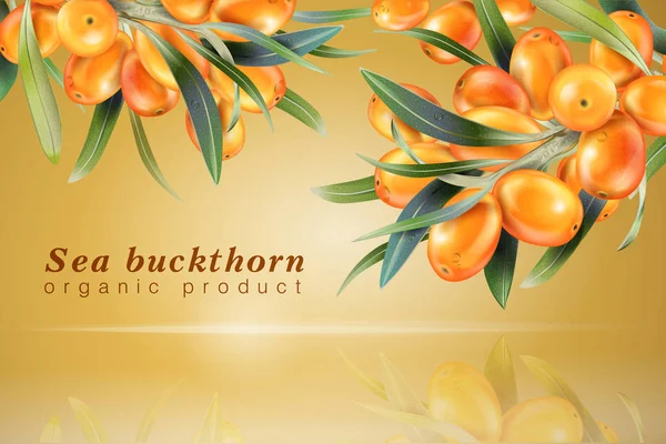 Sea buckthorn. The concept of realistic image of plants and berry. Natural ingredient element, golden background 3d illustration. — Stock Vector