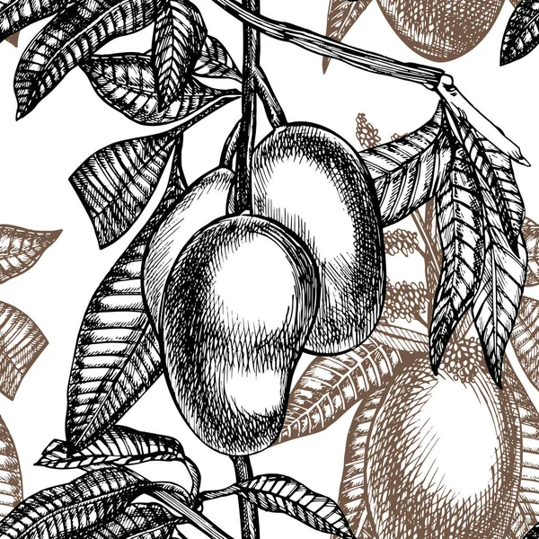 Χέρι που φρούτα κάρτα με φύλλα μάνγκο και μάνγκο φέτες και κύβους. Σκίτσο στυλ διάνυσμα φρούτα πλαίσιο. Εικονογράφηση βιολογικά τρόφιμα. — Διανυσματικό Αρχείο