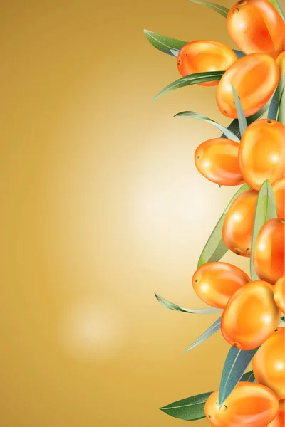 Deniz topalak. Bitki ve berry gerçekçi görüntü kavramı. Doğal madde öğesi, altın arka plan 3d çizim.