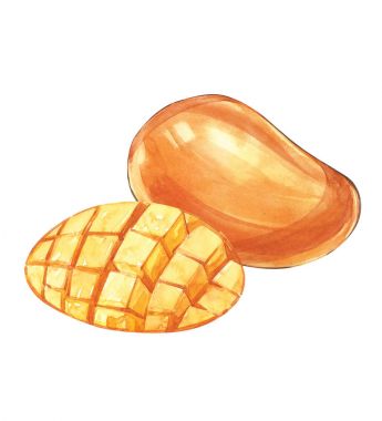 Mango meyve vintage tasarım şablonu. Suluboya botanik illüstrasyon. Mango meyve izole beyaz arka plan üzerinde