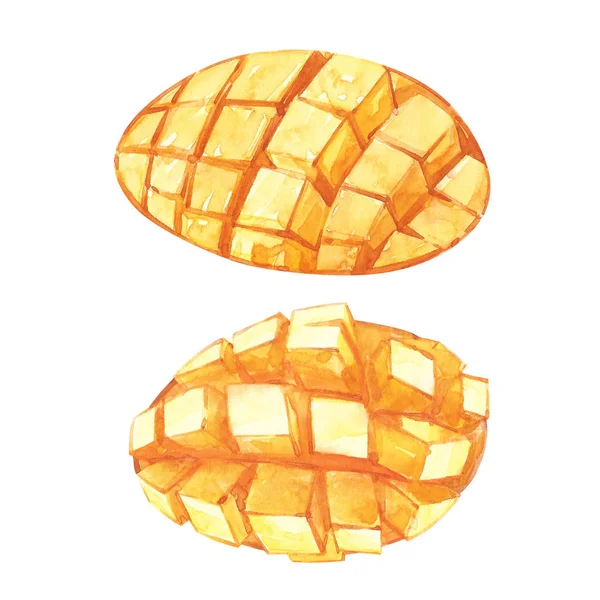 Modèle de design vintage Mango cubes. Illustration botanique aquarelle. Mangue Fruit isolé sur fond blanc — Photo