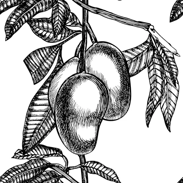 Hand getekend mango vruchten set met bladeren en mango plakjes en blokjes. Schets stijl vectorillustratie fruit geïsoleerd op een witte achtergrond. Biologisch voedsel. — Stockvector